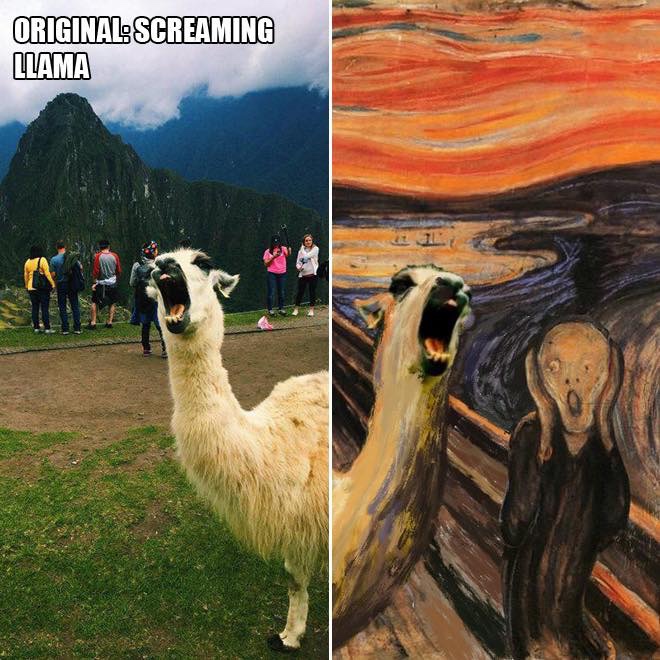 meme - llama scream - Original Screaming Llama
