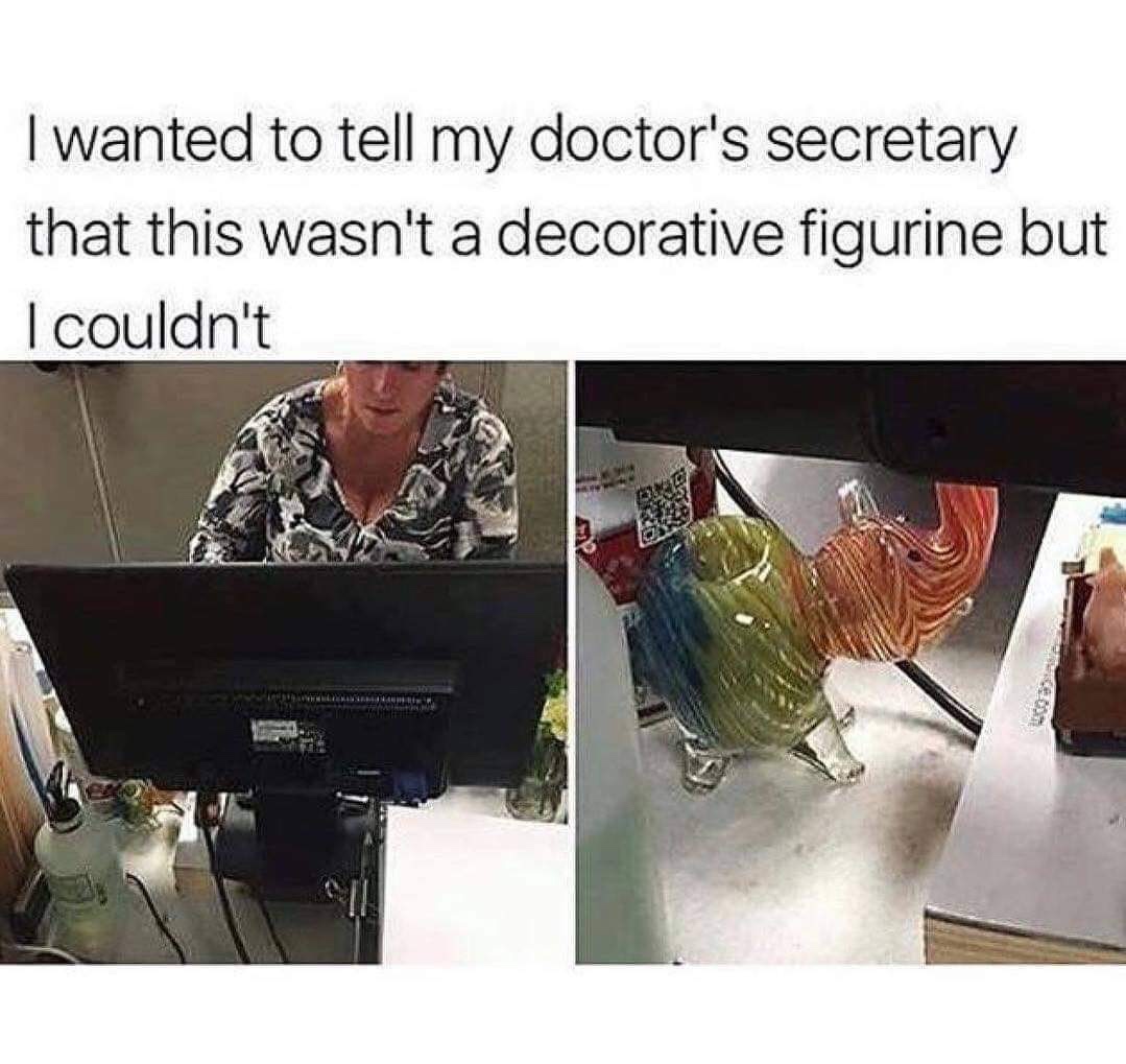 meme - elephant bowl secretary - I wanted to tell my doctor's secretary that this wasn't a decorative figurine but I couldn't Larsen Meenus
