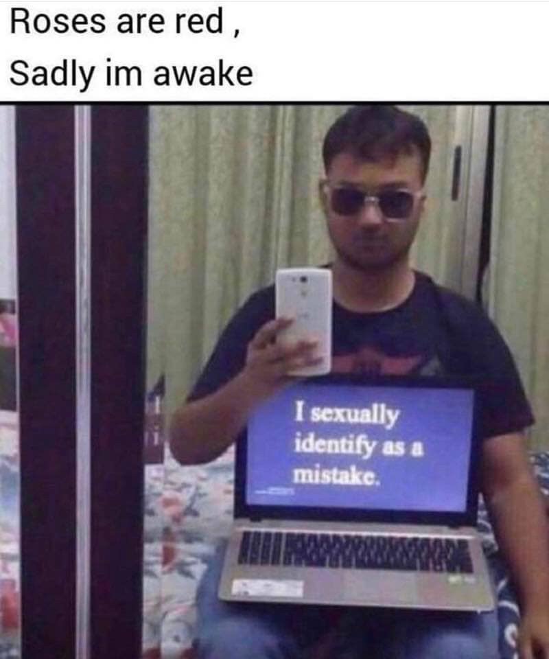 roses are red sadly im awake - Roses are red, Sadly im awake I sexually identify as a mistake