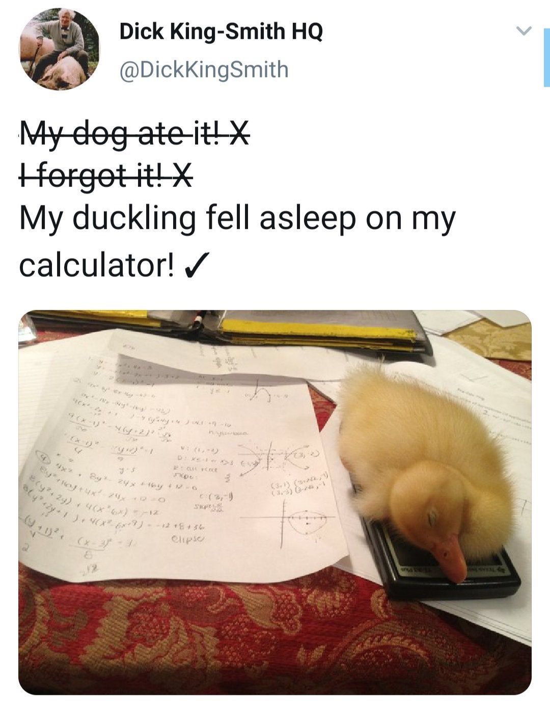 duckling on a calculator - Dick KingSmith Hq My dog ate it! forgot it! My duckling fell asleep on my calculator! Dike 4x Cu Vode 56 clipse