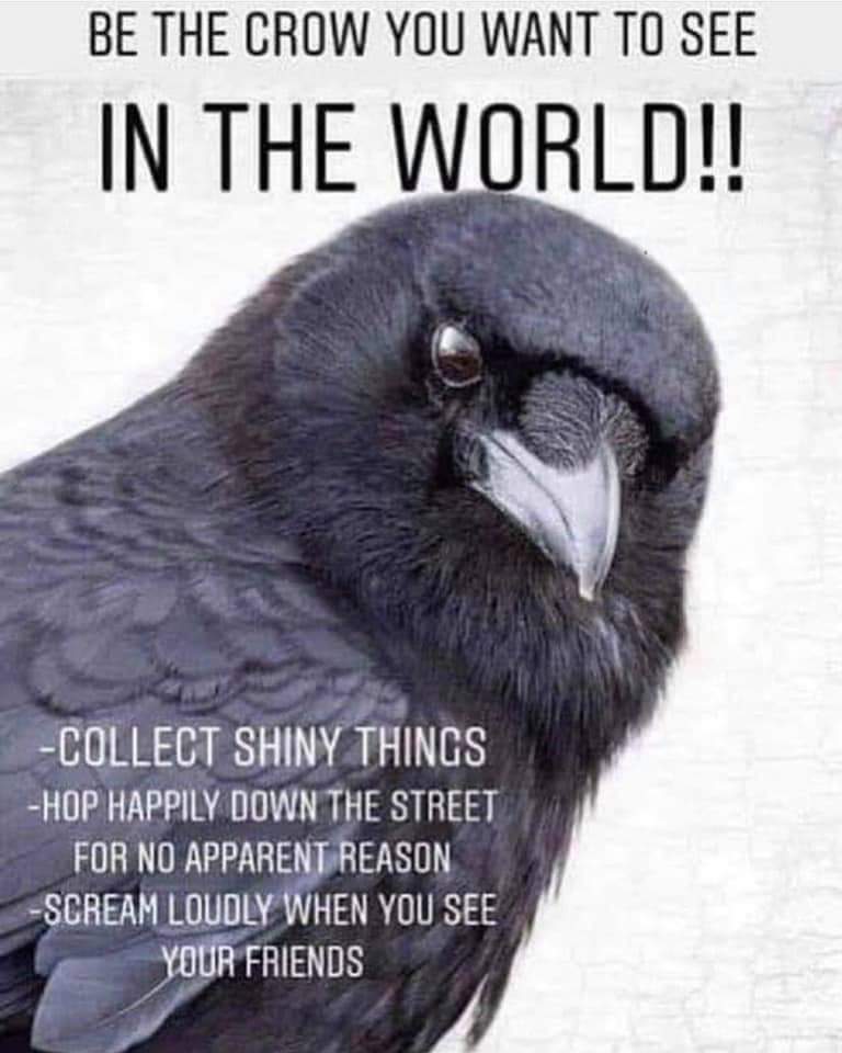 crow you want to see - Be The Crow You Want To See In The World!! Collect Shiny Things Hop Happily Down The Street For No Apparent Reason Scream Loudly When You See Your Friends