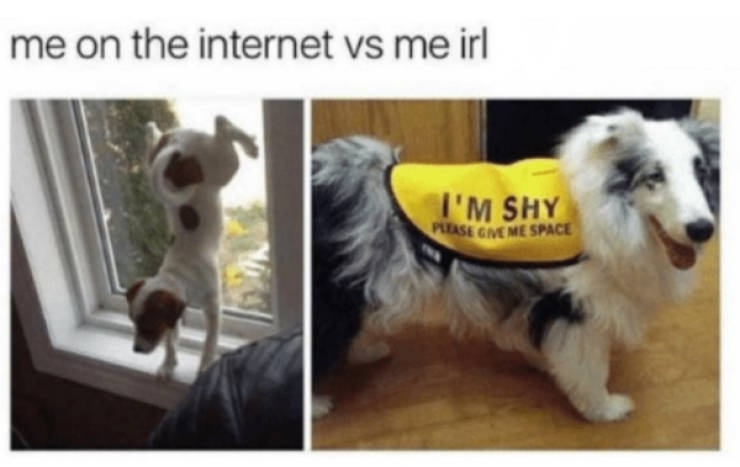 im shy meme - me on the internet vs me irl I'M Shy Plase Gme Me Space