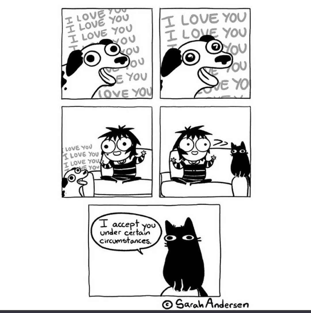 sarah's scribbles - I Love I Love I Love You I Love You I Love You O Oou ou Se you Jou Love You Love You K Love You I Love You 20. Your I accept you under certain circumstances. Sarah Andersen