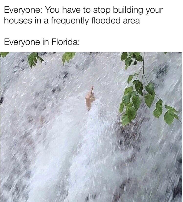 lady of the lake witch of the waterfall - Everyone You have to stop building your houses in a frequently flooded area Everyone in Florida
