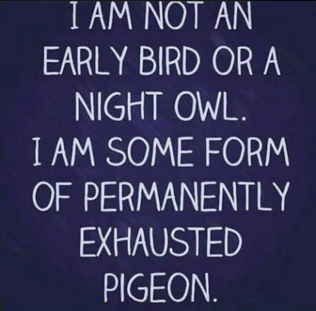 not getting enough sleep meme - I Am Not An Early Bird Or A _NIGHT Owl. I Am Some Form Of Permanently Exhausted Pigeon.