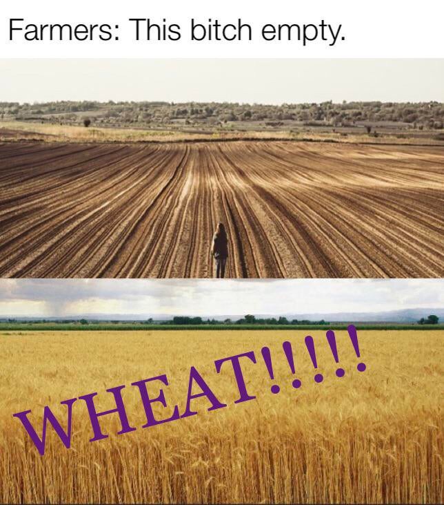 bitch empty wheat - Farmers This bitch empty. Wheat!!!!!