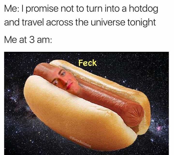 hot dog in space meme - Me I promise not to turn into a hotdog and travel across the universe tonight Me at 3 am Feck Bota Salmon