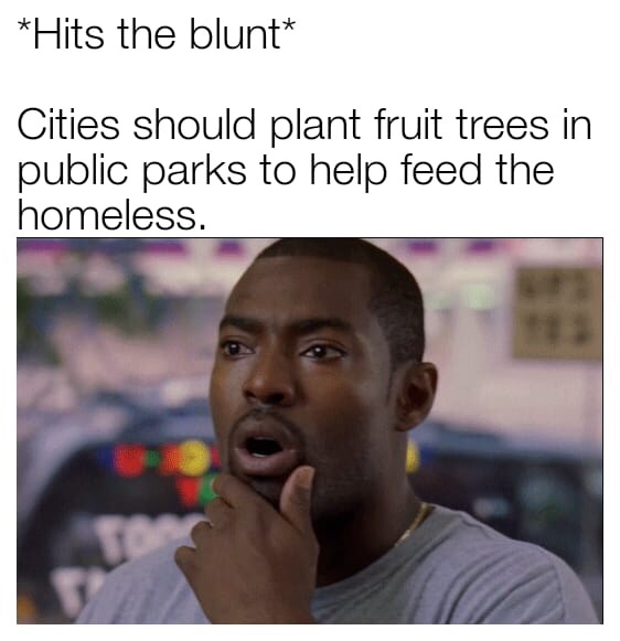 hits blunt meme - Hits the blunt Cities should plant fruit trees in public parks to help feed the homeless.
