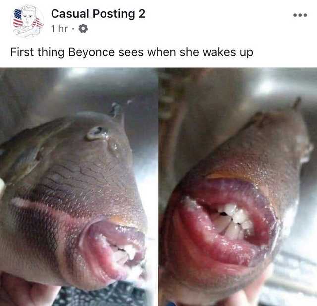 jay z fish lips - Casual Posting 2 1 hr. First thing Beyonce sees when she wakes up