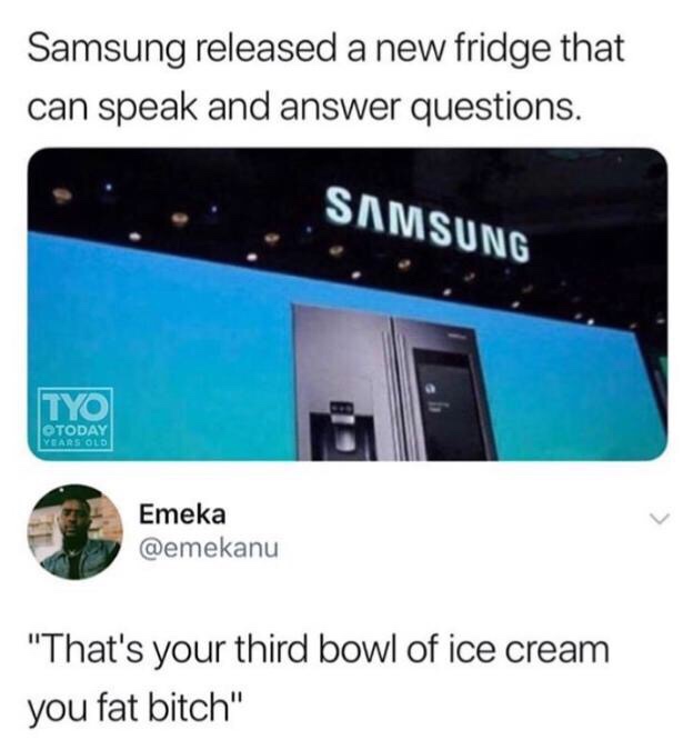 samsung - Samsung released a new fridge that can speak and answer questions. Samsung Tyo Otoday Years Old Emeka "That's your third bowl of ice cream you fat bitch"