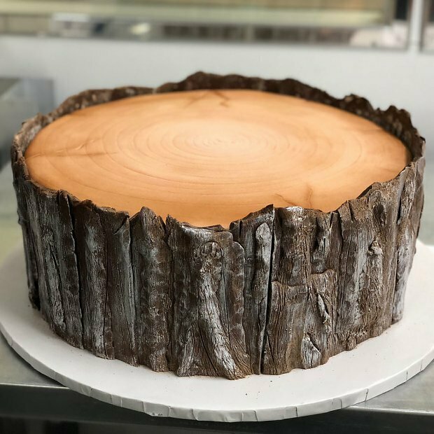 cake that looks like a tree stump