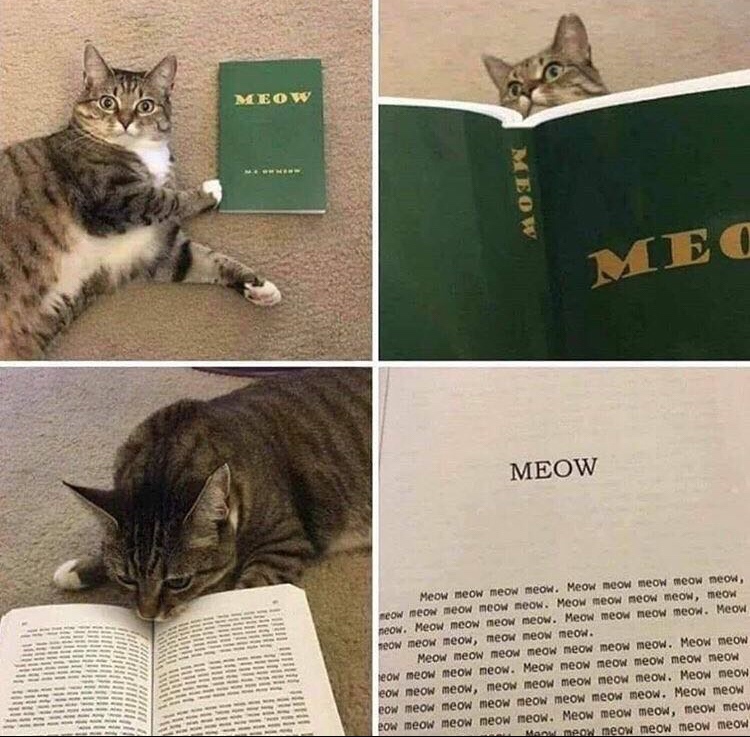 cat book meow - Meow Osti Meow Hilfllli yil n! W Wm ! Billiliit Meow meow meow meow. Meow meow meow meow meow, meow meow meow meow meow. Meow meow meow meow, meow neow. Meow meow meow meow. Meow meow meow meow. Meow Teow meow meow, meow meow meow. Meow me