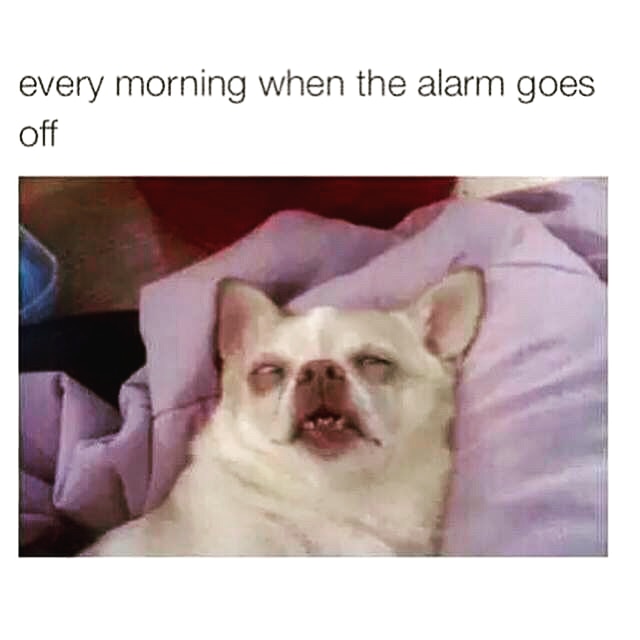 wake up funny - every morning when the alarm goes off