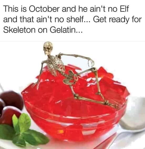 halloween meme - skeleton on the gelatin - This is October and he ain't no Elf and that ain't no shelf... Get ready for Skeleton on Gelatin...