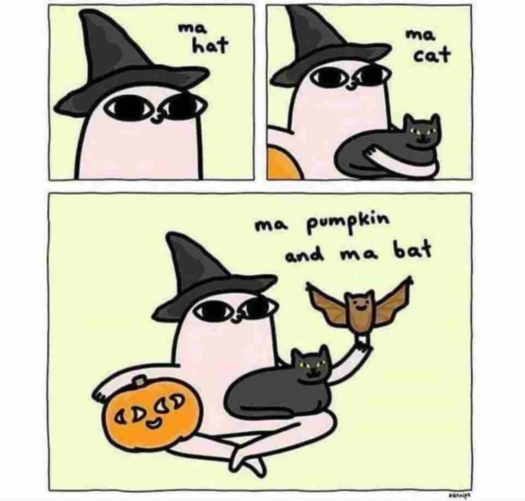 halloween meme - my hat my cat my pumpkin and my bat
