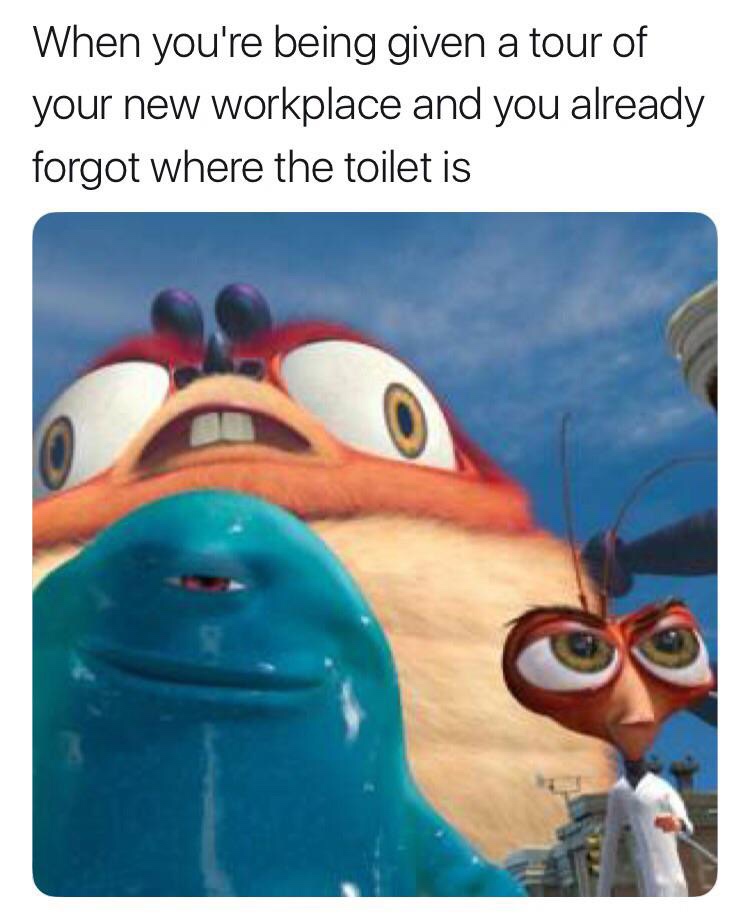 work meme - photo caption - When you're being given a tour of your new workplace and you already forgot where the toilet is