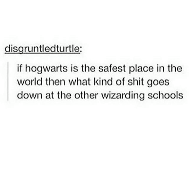 document - disgruntledturtle if hogwarts is the safest place in the world then what kind of shit goes down at the other wizarding schools
