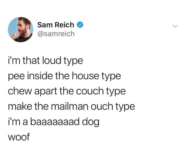 document - Sam Reich i'm that loud type pee inside the house type chew apart the couch type make the mailman ouch type i'm a baaaaaaad dog woof