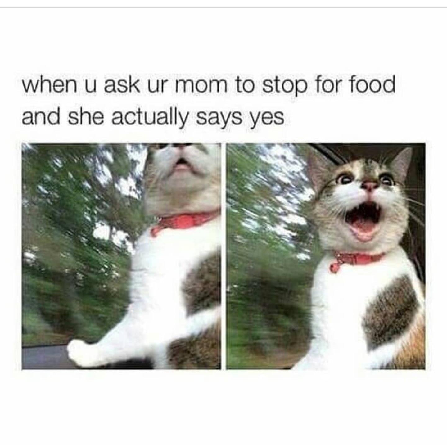 can we stop for food meme - when u ask ur mom to stop for food and she actually says yes