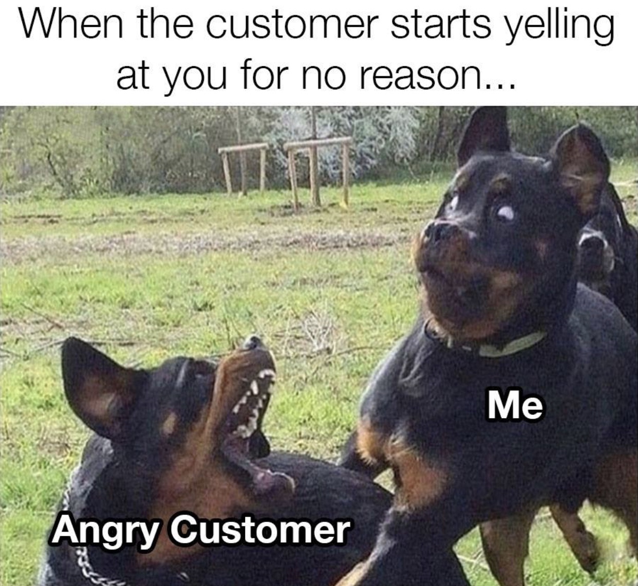 you still mad memes - When the customer starts yelling at you for no reason... Me Angry Customer
