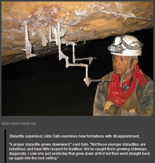 stalactites funny - factsijustmadeup Stalactite supervisor John Sato examines new formations with disappointment "A proper stalactite grows downward," said Sato, "But these younger stalactites are rebellious and have little respect for tradition. We've ca