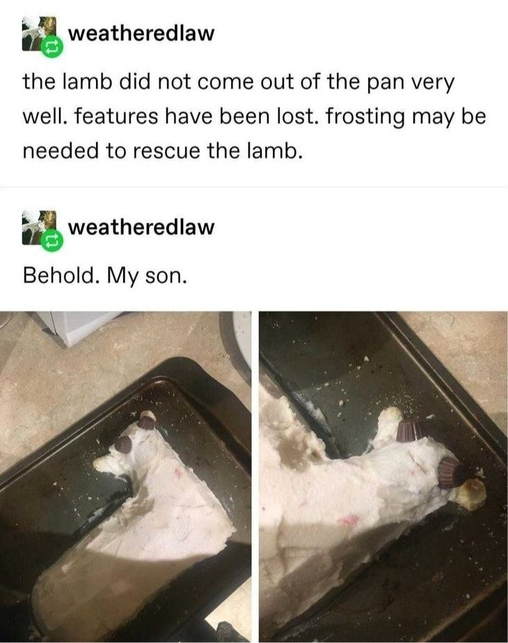 Humour - weatheredlaw the lamb did not come out of the pan very well. features have been lost. frosting may be needed to rescue the lamb. weatheredlaw Behold. My son.