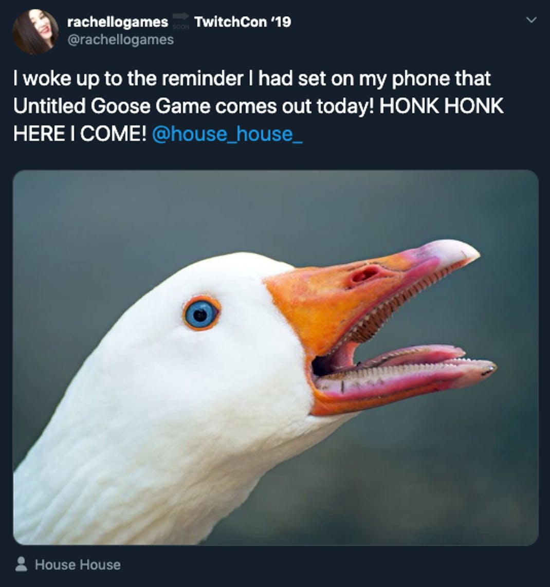 untitled goose game memes - TwitchCon '19 rachellogames I woke up to the reminder I had set on my phone that Untitled Goose Game comes out today! Honk Honk Here I Come! House House