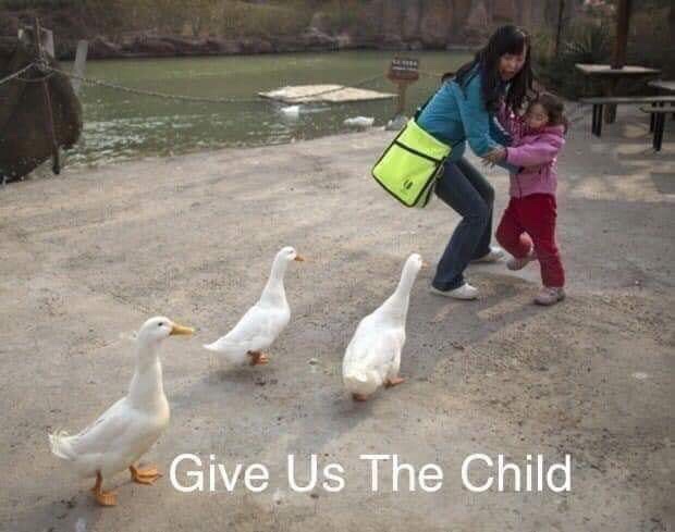 duck meme give us the child - Give Us The Child
