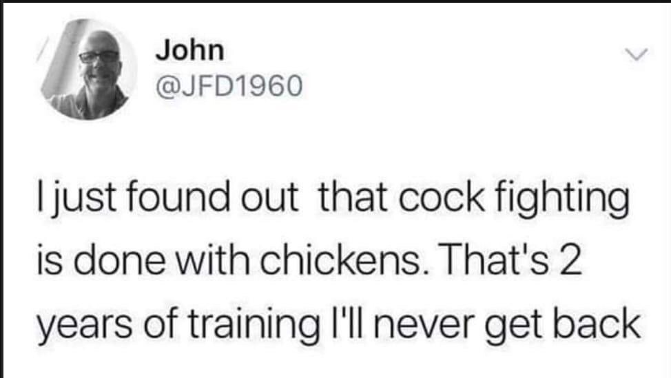 just found out cock fighting is done - John I just found out that cock fighting is done with chickens. That's 2 years of training I'll never get back