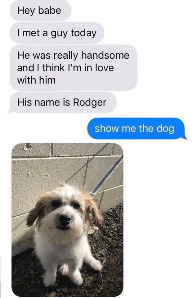 wholesome memes - Hey babe I met a guy today He was really handsome and I think I'm in love with him His name is Rodger show me the dog
