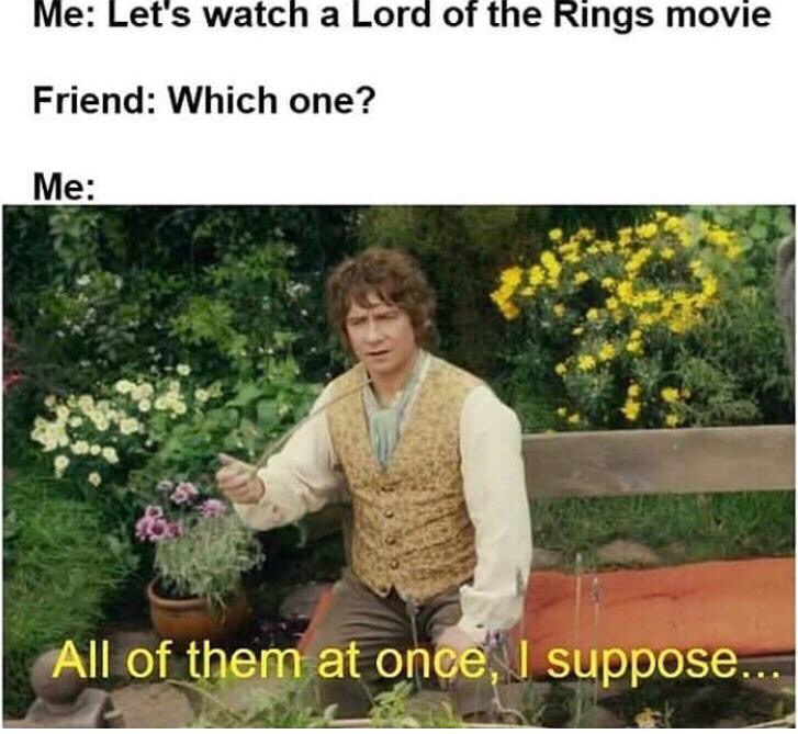 lord of the rings watching meme - Me Let's watch a Lord of the Rings movie Friend Which one? Me All of them at once, I suppose.