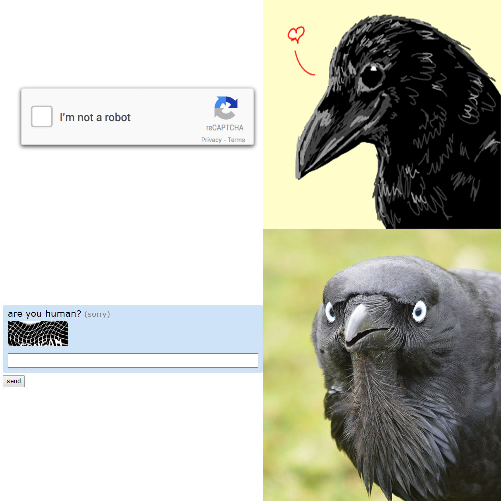 angry raven - I'm not a robot reCAPTCHA Privacy Terms are you human? sorry send