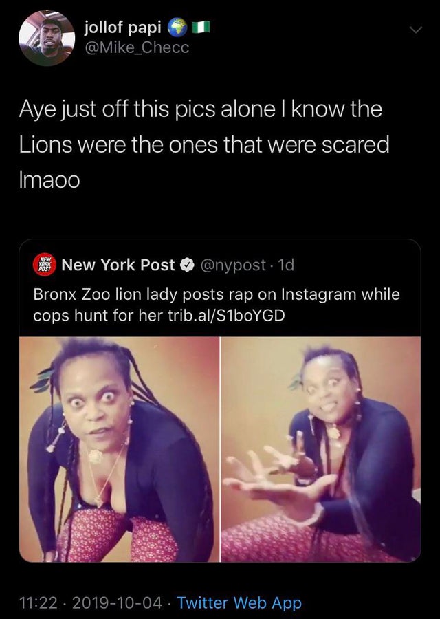 human - jollof papi Aye just off this pics alone I know the Lions were the ones that were scared Imaoo The New York Post . 1d, Bronx Zoo lion lady posts rap on Instagram while cops hunt for her trib.alS1bOYGD . Twitter Web App