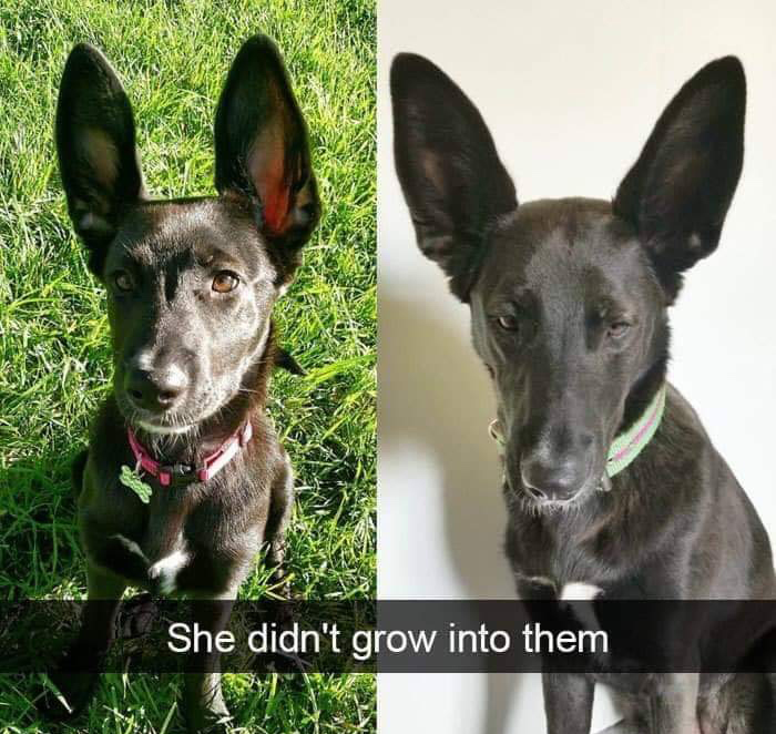 she didn t grow into them - She didn't grow into them