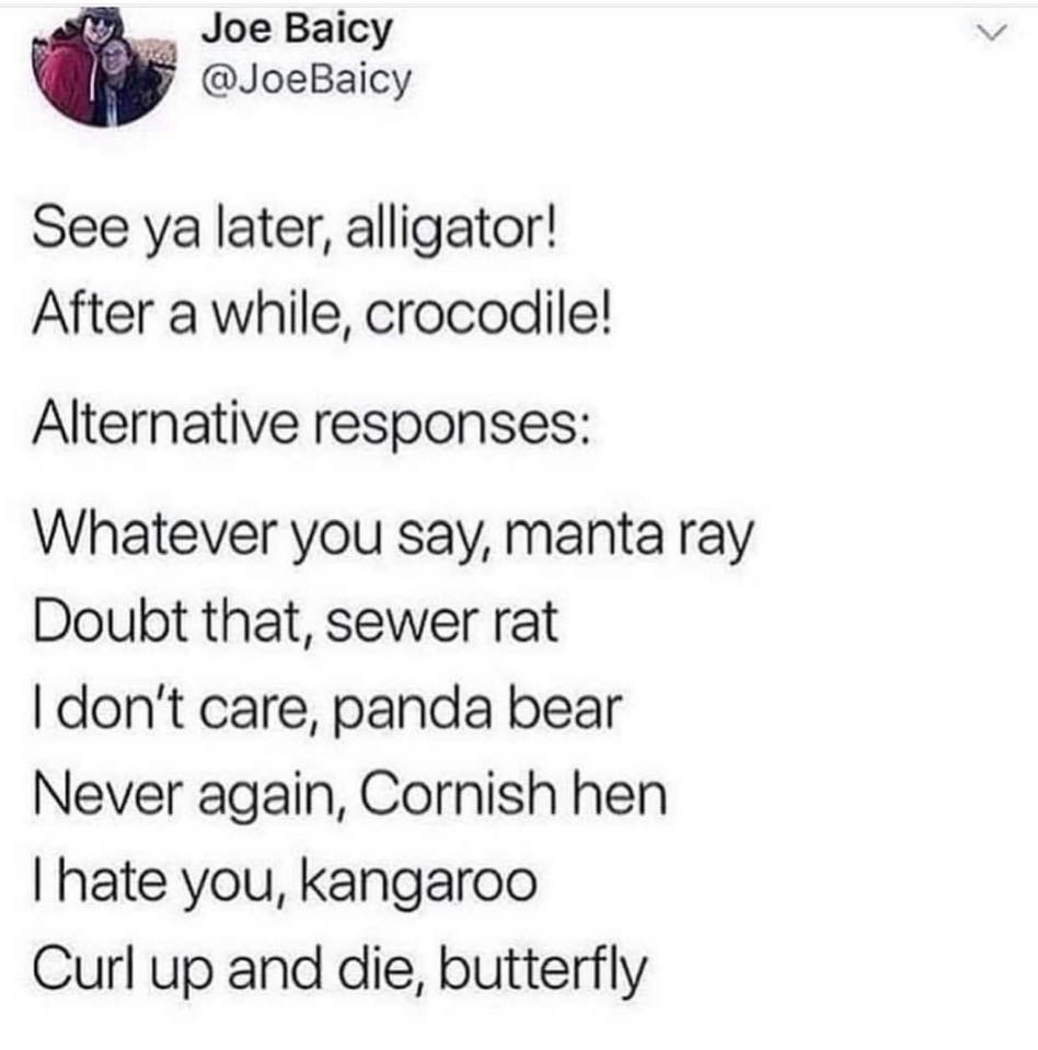 document - Joe Baicy See ya later, alligator! After a while, crocodile! Alternative responses Whatever you say, manta ray Doubt that, sewer rat I don't care, panda bear Never again, Cornish hen Thate you, kangaroo Curl up and die, butterfly