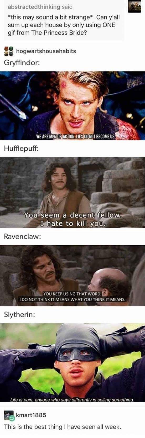 hogwarts houses as princess bride quotes - abstracted thinking said this may sound a bit strange Can y'all sum up each house by only using One gif from The Princess Bride? hogwartshousehabits Gryffindor We Are Men Of Action Lies Do Not Become Us | Hufflep