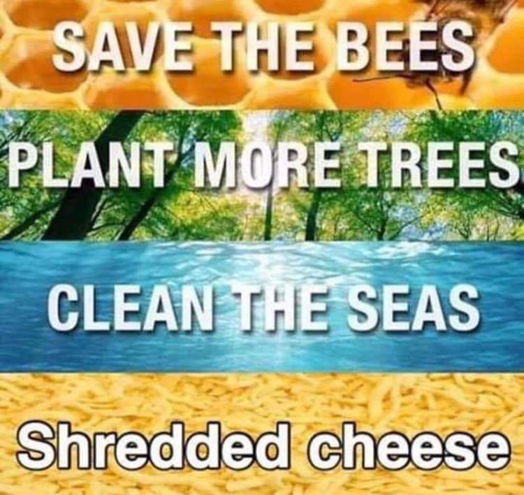 save the bees plant more trees clean - Save The Bees Plant More Trees Clean The Seas Shredded cheese