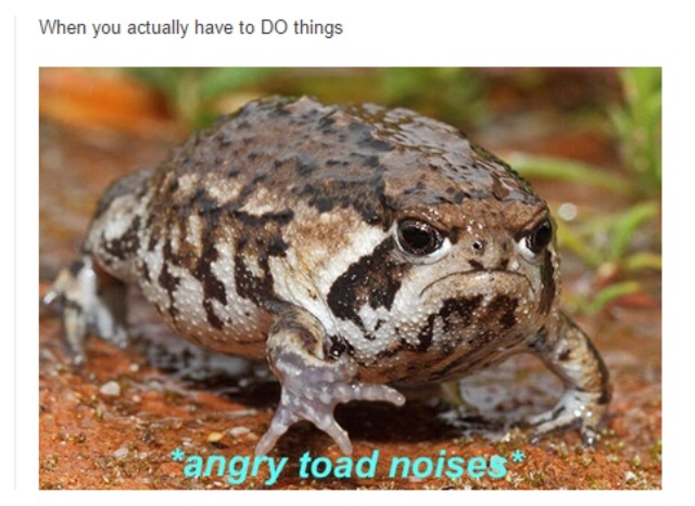 college memes - angry toad - When you actually have to Do things angry toad noises