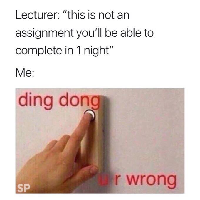 college memes - not an assignment you can do in one night - Lecturer