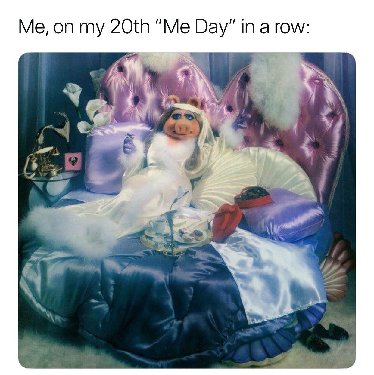 college memes - miss piggy boudoir - Me, on my 20th