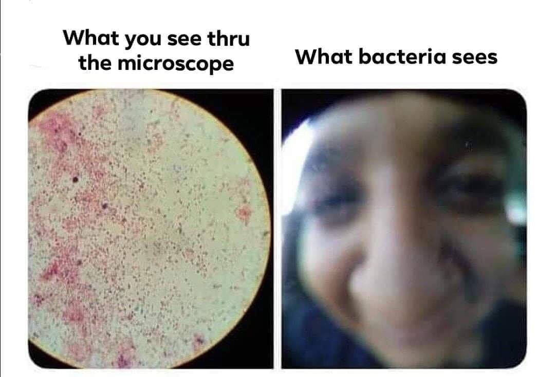 college memes - you see what bacteria sees - What you see thru the microscope What bacteria sees
