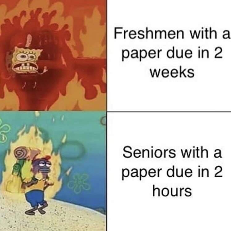 college memes - dank memes memes amino - Freshmen with a paper due in 2 weeks Seniors with a paper due in 2 hours