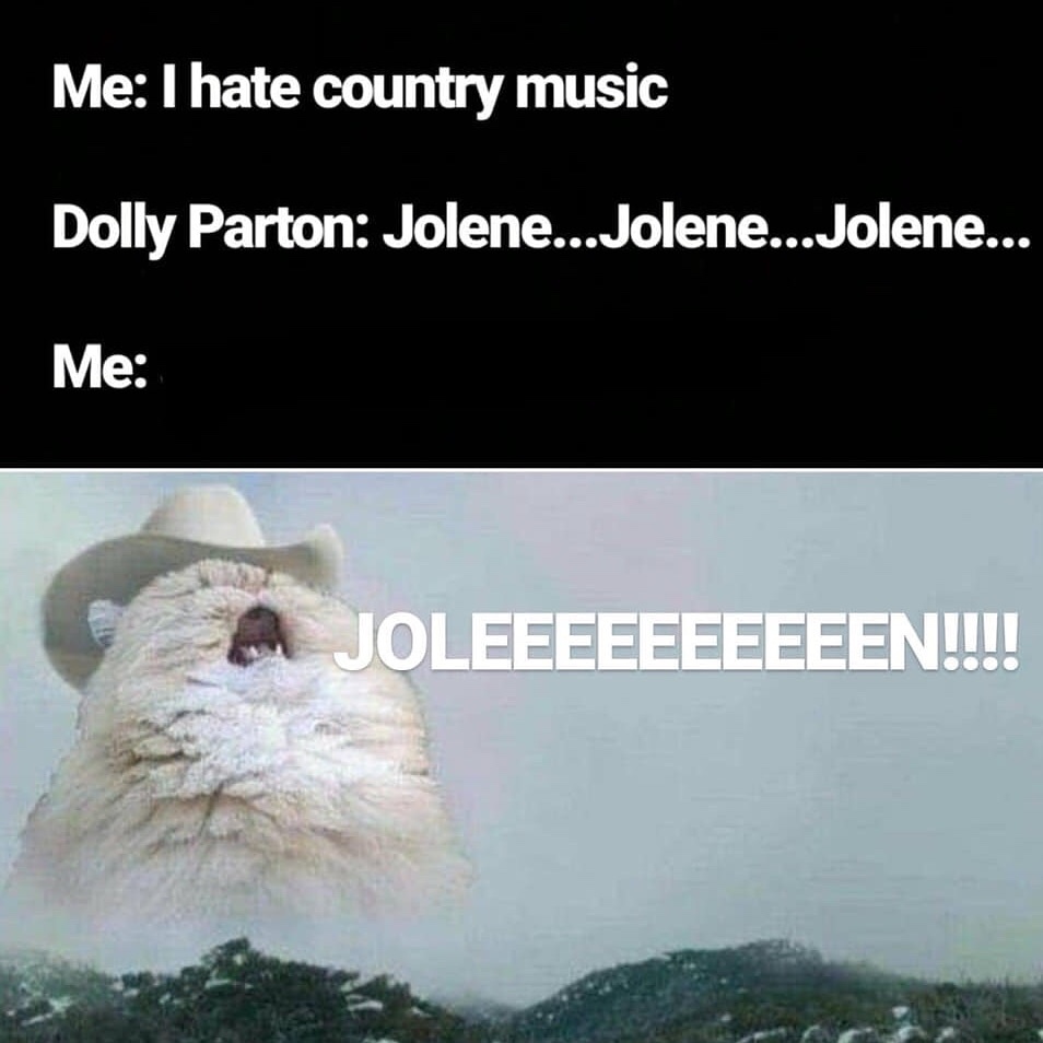 meme dolly parton jolene meme - Me I hate country music Dolly Parton Jolene...Jolene...Jolene... Me A Joleeeeeeeeeen!!!!