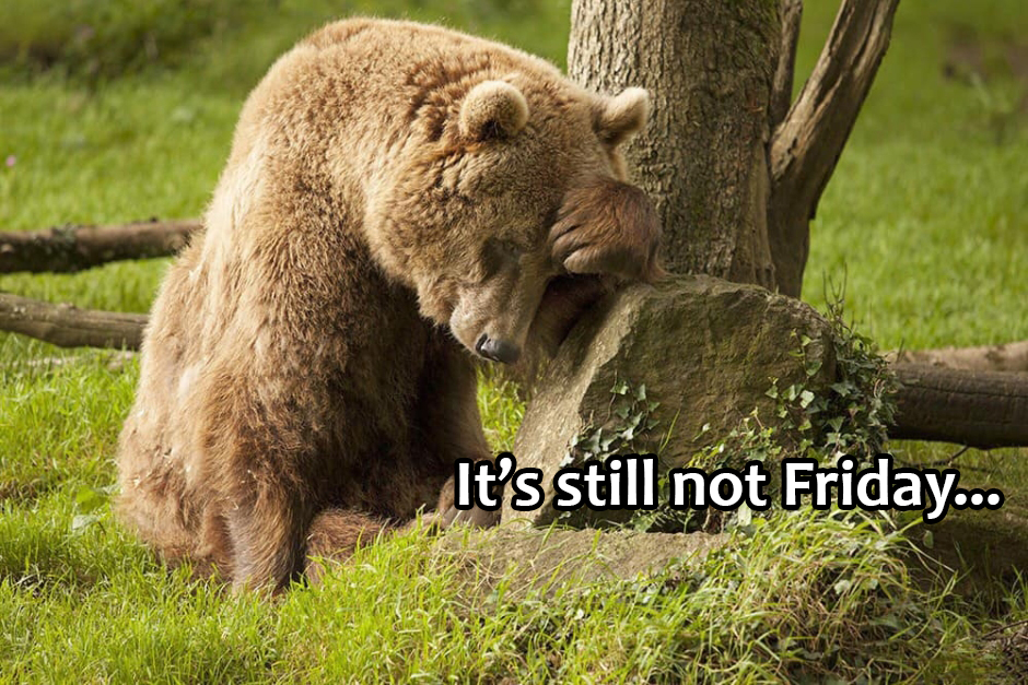 meme honey pot bear - It's still not Friday...