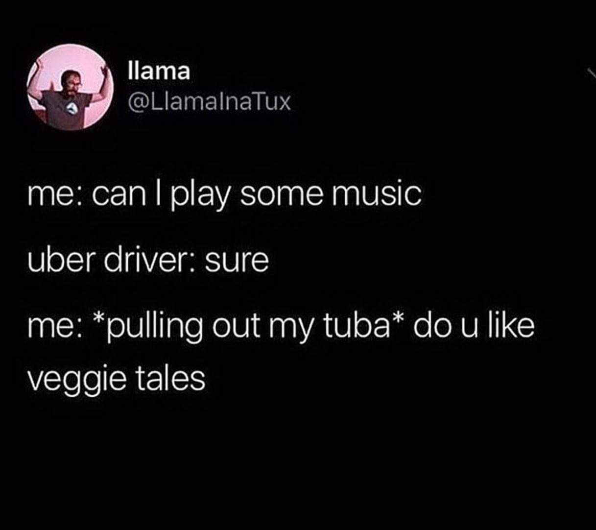 darkness - Mammalinatu llama me can I play some music uber driver sure me pulling out my tuba do u veggie tales
