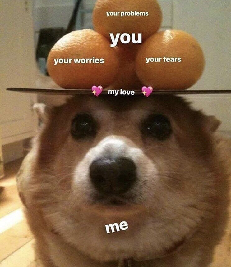 cute wholesome memes - your problems you your worries your fears my love me
