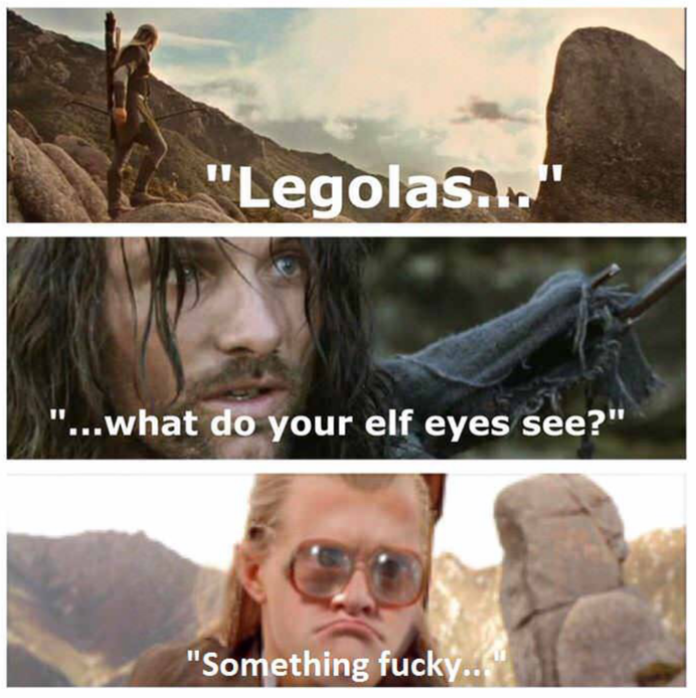 legolas what do your elf eyes see meme - "Legolas..." "...what do your elf eyes see?" "Something fucky..