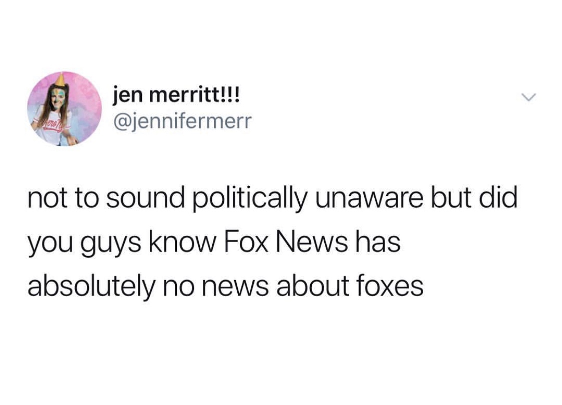 top things said on facetime - jen merritt!!! not to sound politically unaware but did you guys know Fox News has absolutely no news about foxes