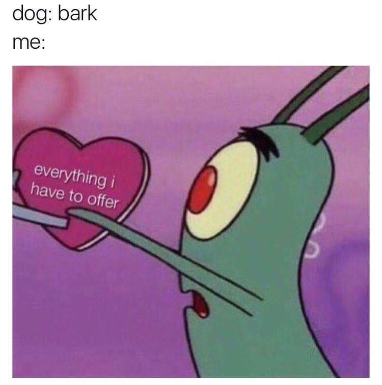 cartoon love memes - dog bark me everything i have to offer