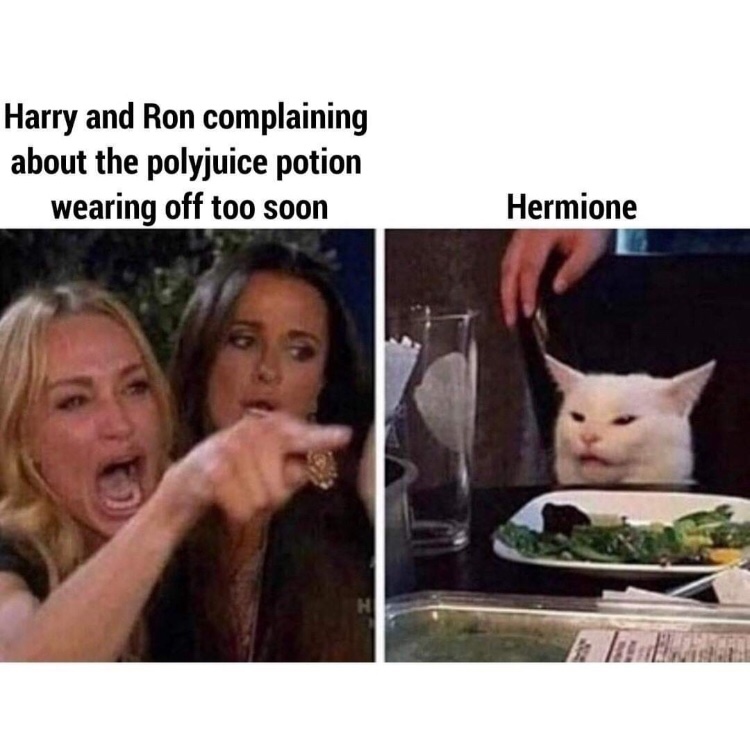 polyjuice potion meme - Harry and Ron complaining about the polyjuice potion wearing off too soon Hermione
